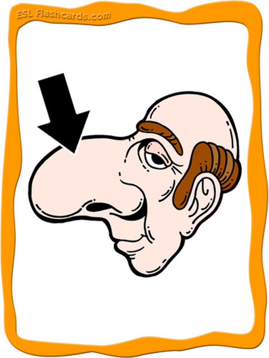 <p>nose (bí zi)</p>