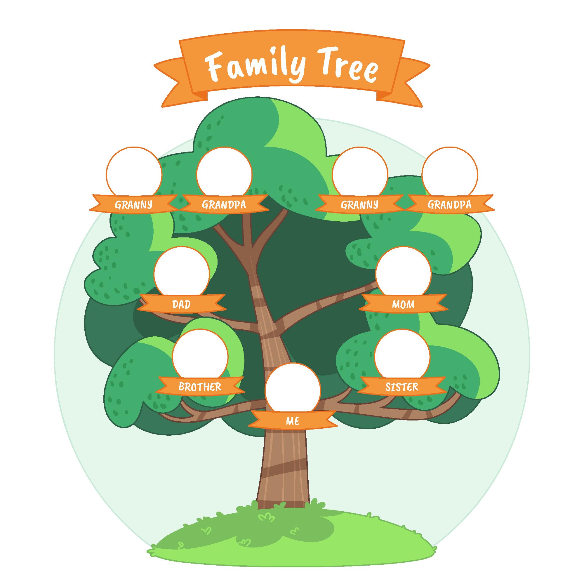 <p><strong>Family Tree </strong><em>(noun)</em></p>