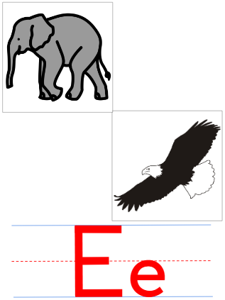 term image