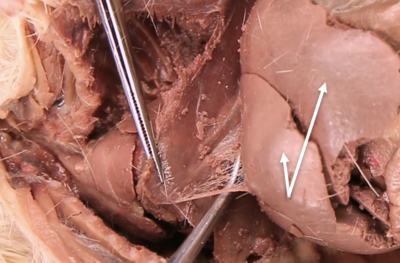 <p>What is this?</p>