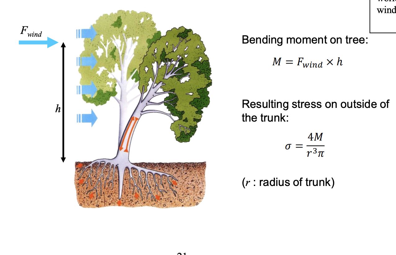<p>stress= 4M/(r³pi)</p>