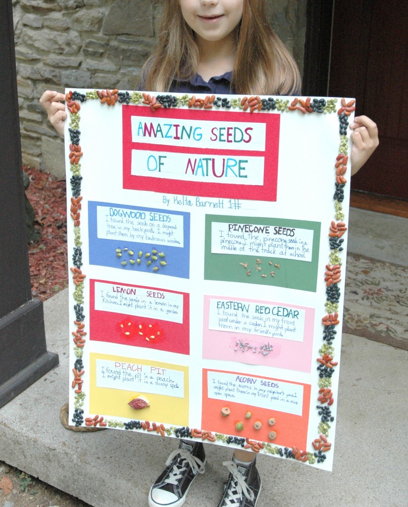 <p>1.) Impliqué(e) dans</p><p><span>2.) Elle est impliquée dans un projet scolaire.</span></p><p><span>3.) Impliqué = emotionally or actively inside something .</span></p>