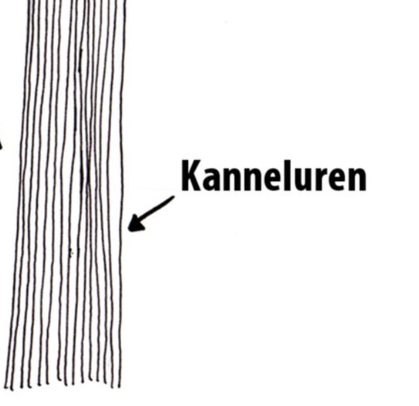 Kanneluren 