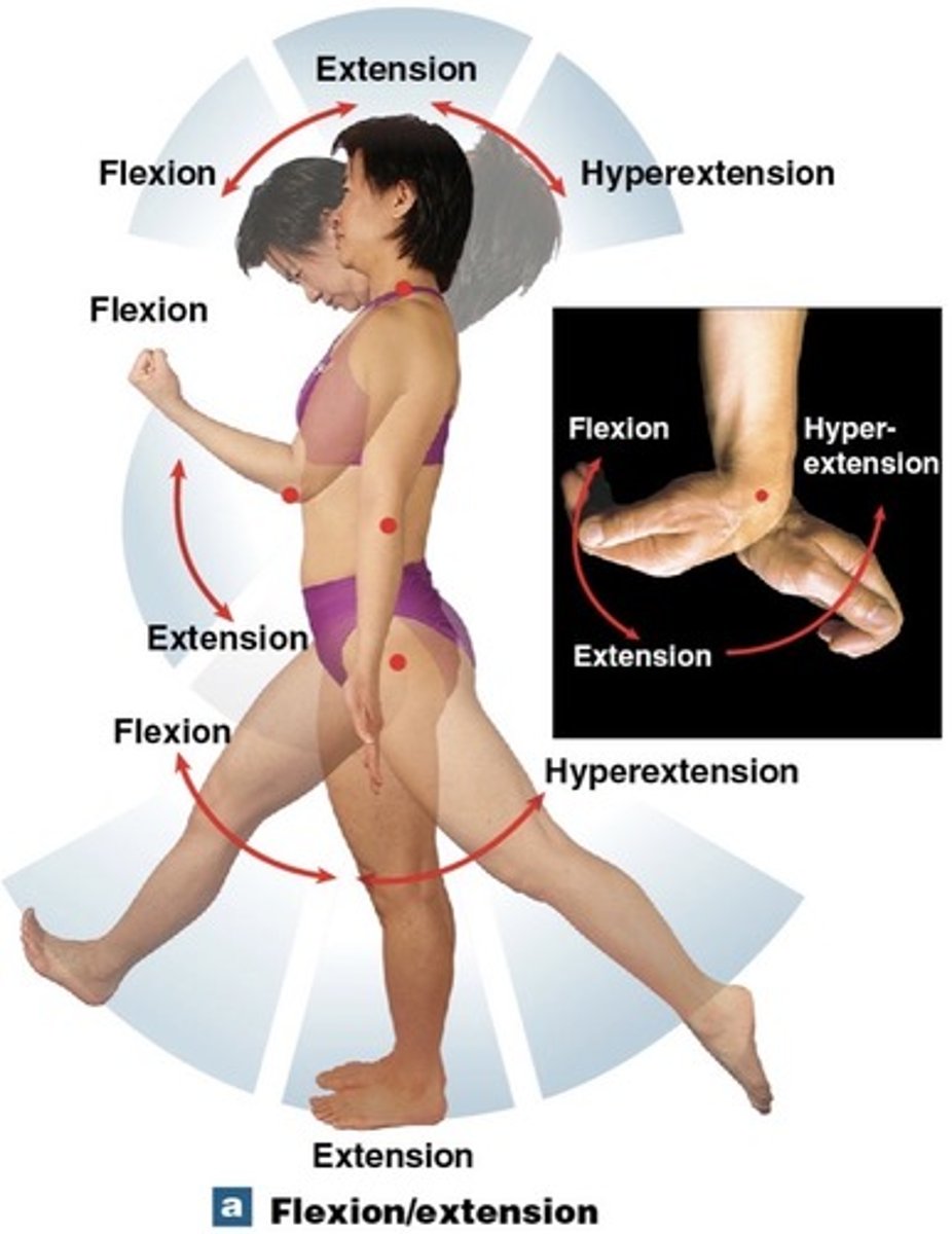 <p>extension beyond anatomical position</p>