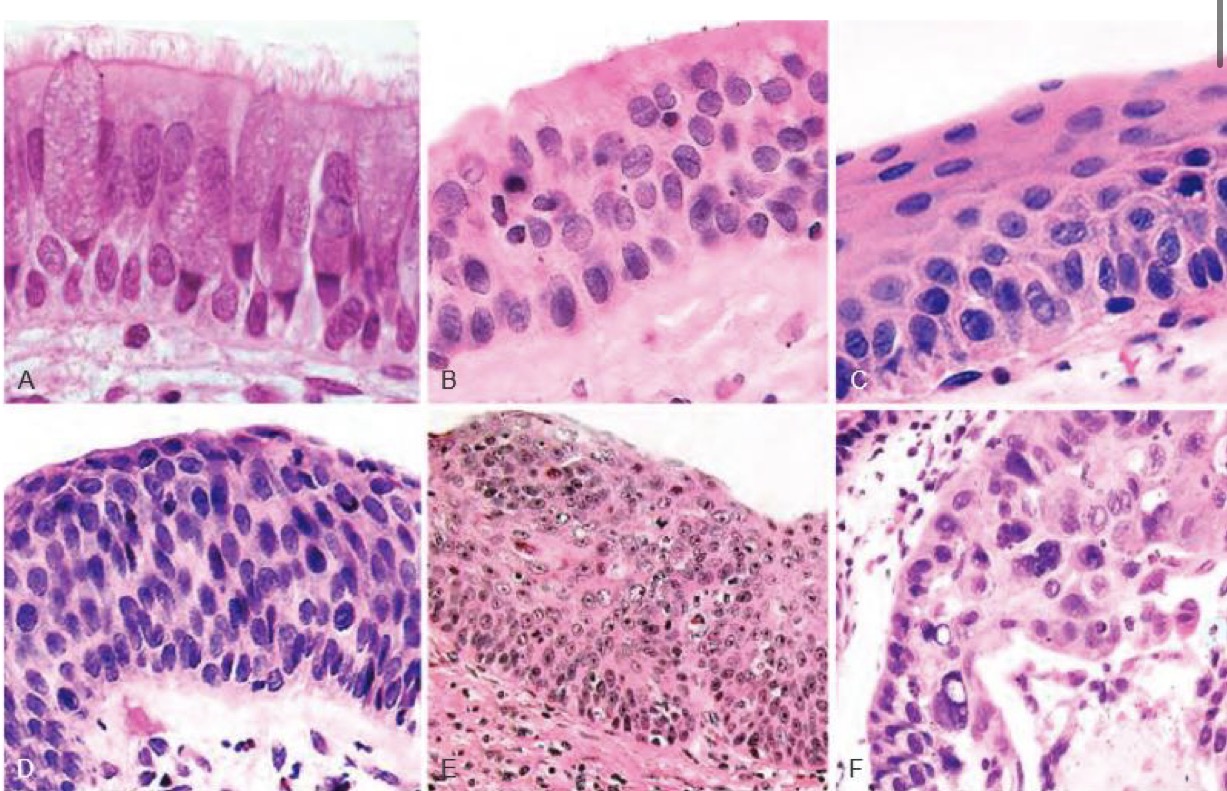 <p>A- identify </p><p>B- describe </p>