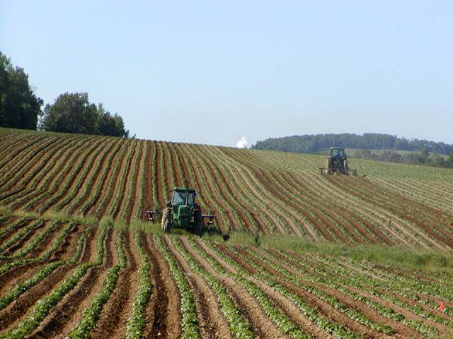<p><span><strong>monoculture</strong></span></p>