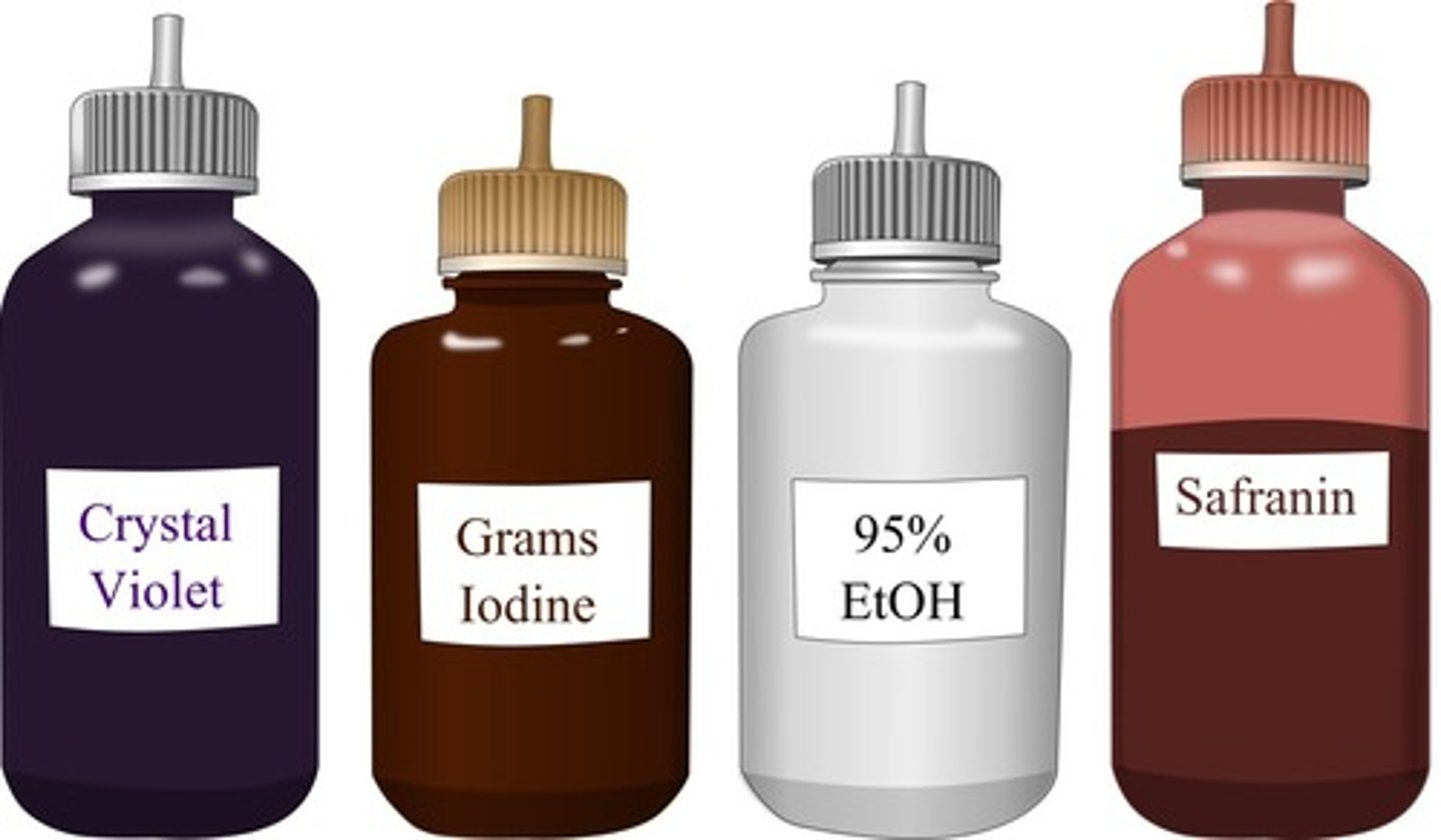 <p>These agents are used in the</p>