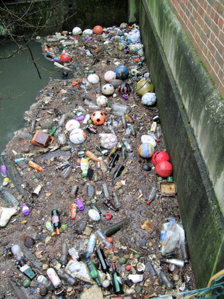<p>Contamination of water by waste matter or other material that is harmful to organisms that are exposed to the water</p>