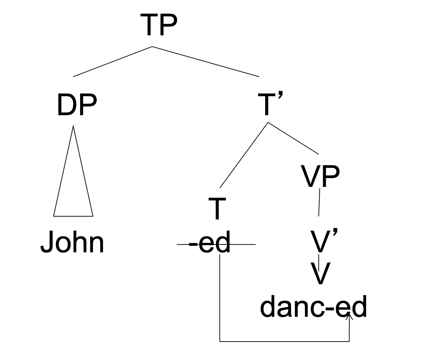 <p><span style="color: rgb(255, 255, 255);"><span>Inflectional suffixes are generated in T, but they must be attached to the verb, so they move by lowering and attaching to the verb</span></span></p>