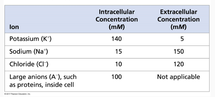 <p><span>Which way would K flow if ion channels&nbsp;were open?</span></p><p><span>A. Into the cell </span></p><p><span>B. Out of the cell</span></p>