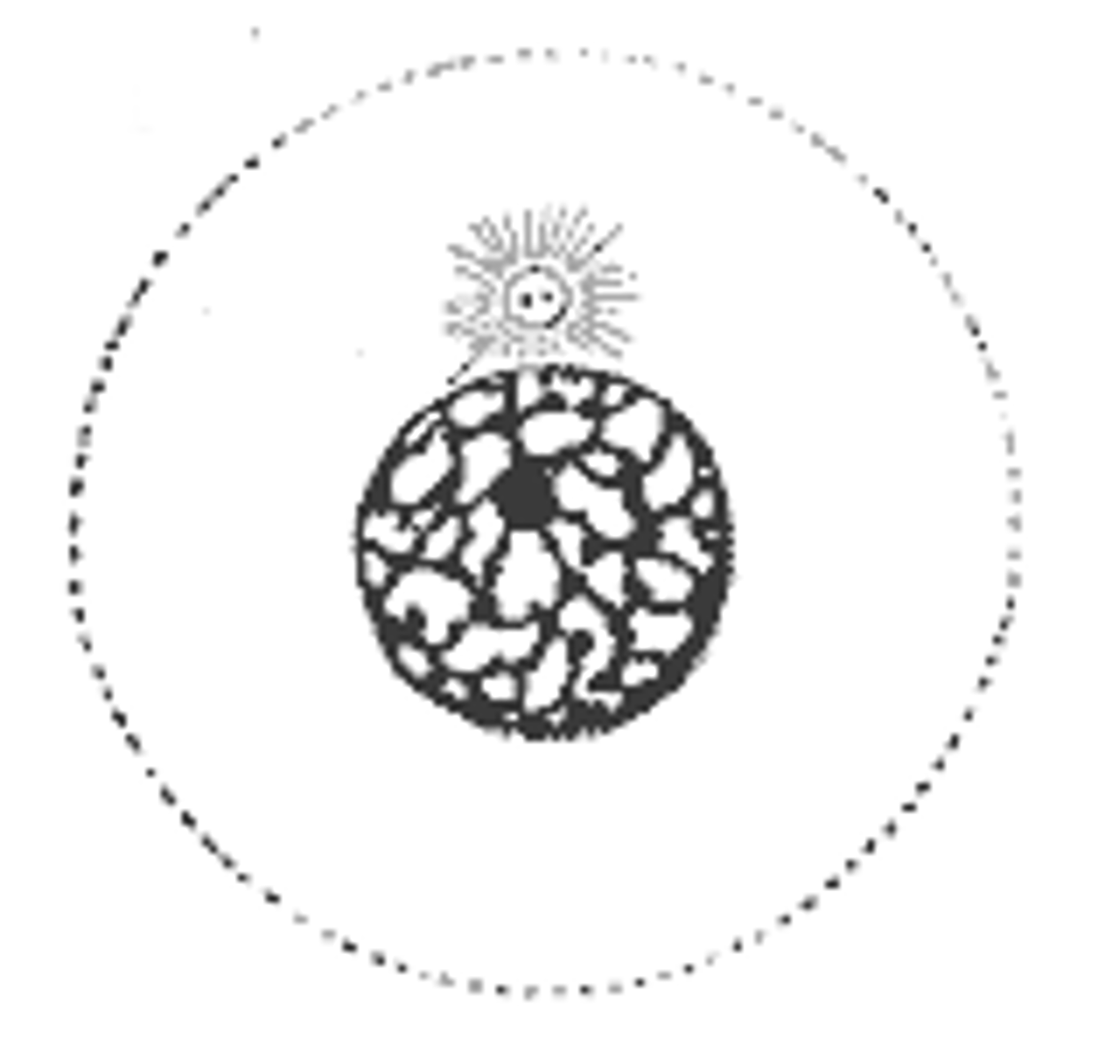 <p>The centriole duplicates. The cell grows, performs normal cell functions, and DNA replicates. Then, the cell prepares for cell division</p>