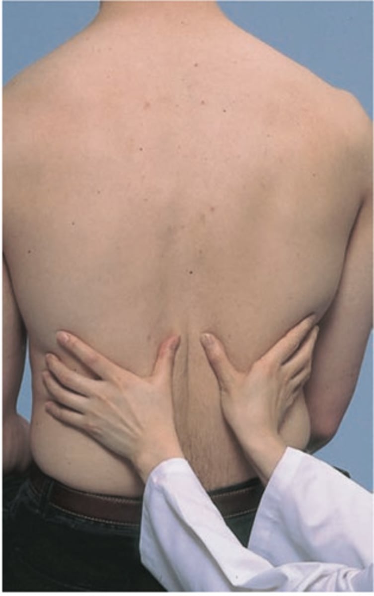 <p>instructions:</p><p>instruct the patient to sit upright on the side of the bed. When assessing patient, tell them to breathe out then continue taking deep breaths.</p><p>procedure:</p><p>Stand behind the patient and place both thumbs on the spine at around t9 while extending your hands. Then, instruct the patient to take several deep breaths through the mouth. Watch how your thumbs move.</p>