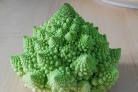 <p>is a never-ending pattern.</p><p><span style="color: transparent">i</span>infinitely<br>complex patterns that are self-similar across different scales.<br>They are created by repeating a simple process over and<br>over in an ongoing feedback loop.<br></p>
