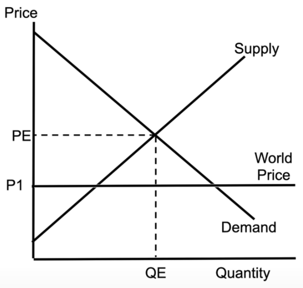 <ul><li><p>shows result of international trade</p></li><li><p>PE = domestic price of the product</p></li><li><p>P1 = the price we can get it for, if we buy it from other countries</p></li><li><p>no dead weight loss, which explains why economists like international trade</p></li></ul><p></p>