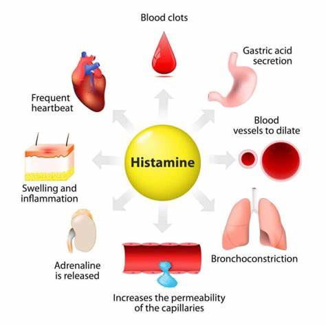 <p>histamine</p>