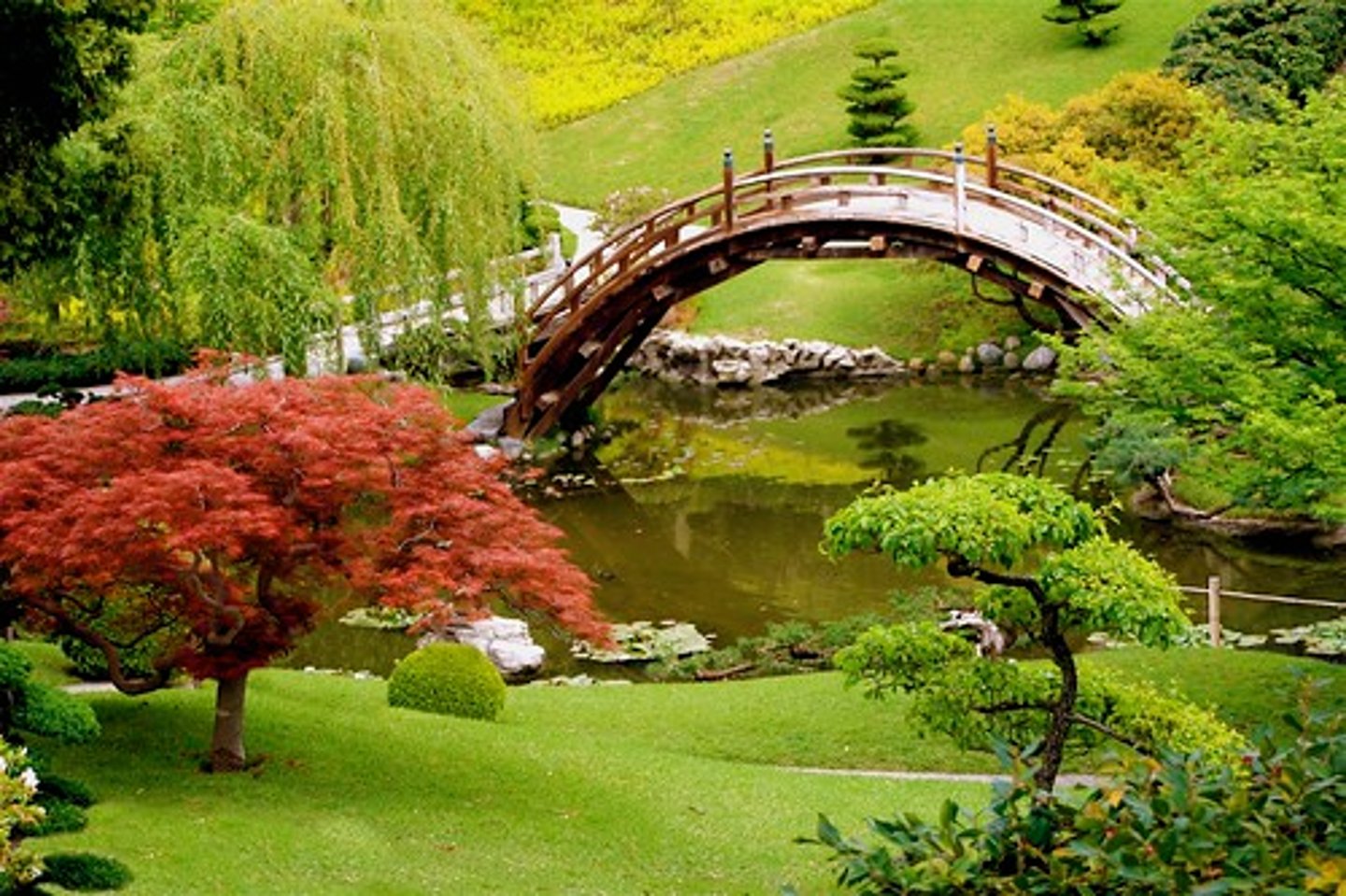 <p>garden; yard</p>