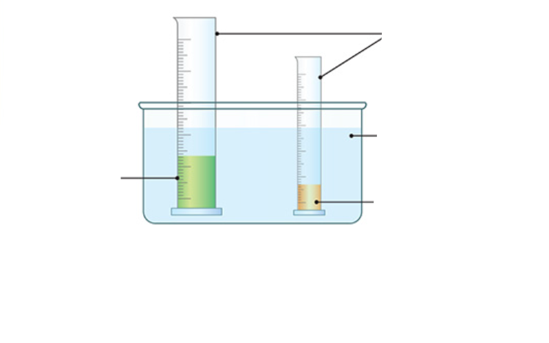 <p>Label all apparatus and substances</p><p class="has-focus">What substrate did the catalyst act upon?</p>