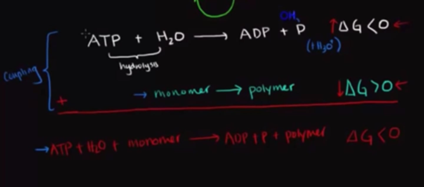 <p>A non-spontaneous reaction can be driven forward using the energy released from a spontaneous reaction. We are "coupling" these two reactions together in a way that the overall change in Gibb's free energy is negative, making the overall process spontaneous.</p>