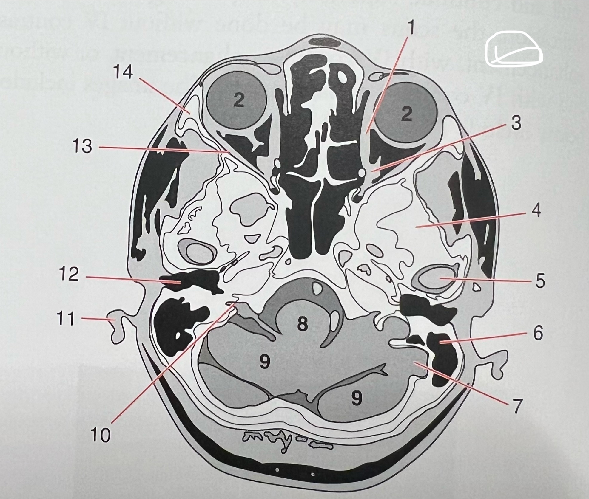 <p>10</p>