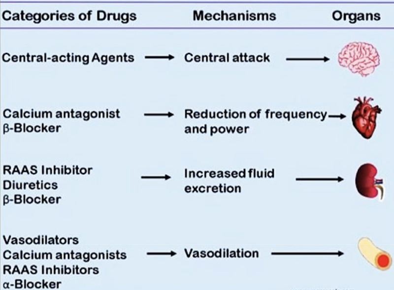 <p><span><span>Drugs with a generalized effect act on targets that are present throughout the body.</span></span></p><ul><li><p><span>Ex.: Analgesic drugs (for pain relief), like opioids, have multiple drug targets because there are opioid receptors everywhere in the body. While this drug does manage to relieve pain, it also causes side effects due to its ability to act on a wide variety of cells.</span></p></li><li><p><span>Ex.: Intravenous administration of epinephrine causes a generalized effect. It is used in cases of severe allergic reactions</span></p></li></ul><p></p>