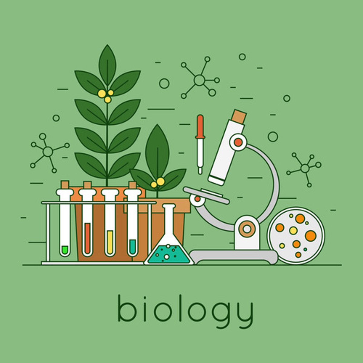 <p>biology</p>