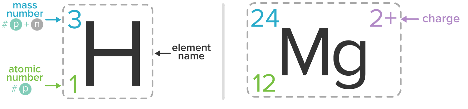 <p><sup>A</sup><sub>Z</sub>E<sup>n.c.</sup></p><ul><li><p>E= element symbol</p></li><li><p>Z= atomic #</p></li><li><p>A= mass #</p></li><li><p>n.c.= net charge (incl. even if 0)</p></li></ul><p>A = p+n</p><p>A-n = p </p><p>Protons = Z</p><p>p-e = n.c.</p>