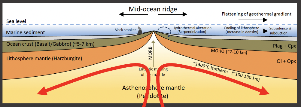 <ul><li><p>decompression melting happens</p></li><li><p>this allows the melting point of peridotite to be at the average geotherm</p></li><li><p>hotter deeper rocks in the mantle are brought upwards to shallower levels at the mid ocean ridges</p></li><li><p>when the hotter rocks rise it changes the thermal profile giving partial melting</p></li></ul>