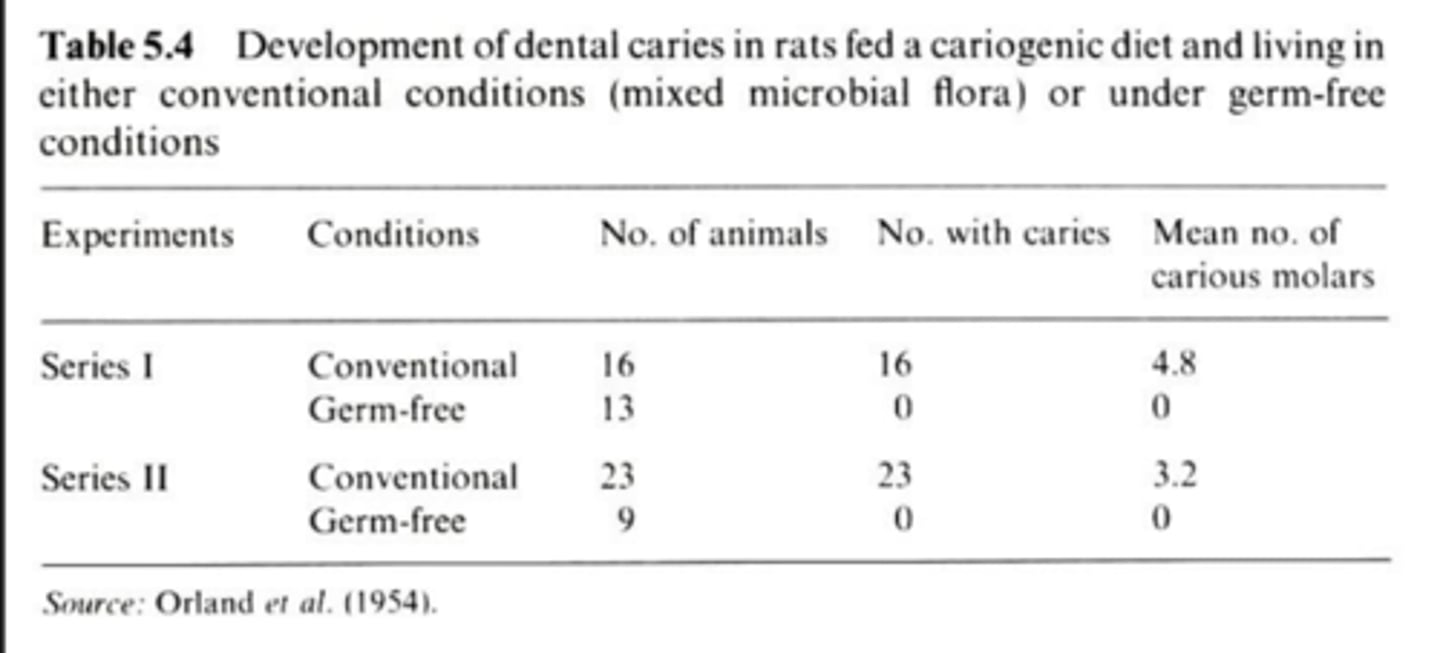 <p>Take home:</p><p>- No bacteria = no caries</p><p>- Have to have cariogenic bacteria for caries</p>