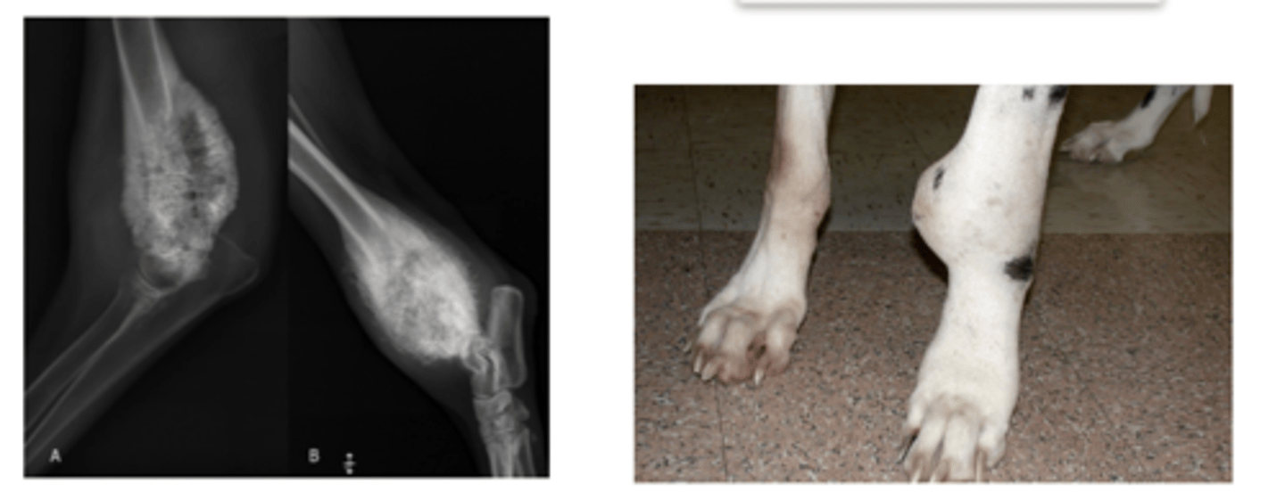 <p>what is this called?</p>