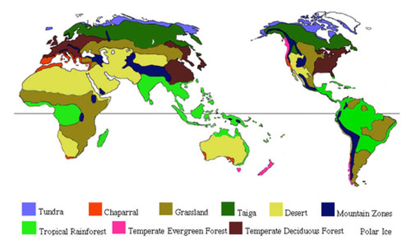 <p>A large area or geographical region with distinct plant and animal groups adapted to that environment.</p>