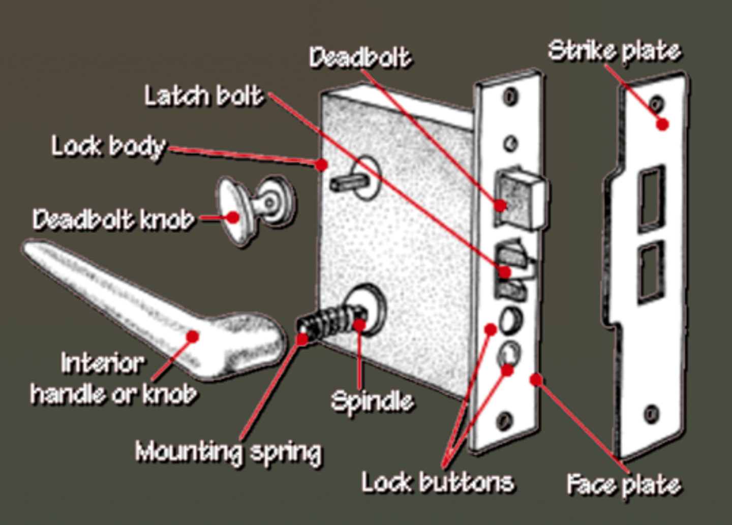 <p>installed in rectangular area cut out of door; more SECURE than cylindrical and offers wider variety of locking options</p>