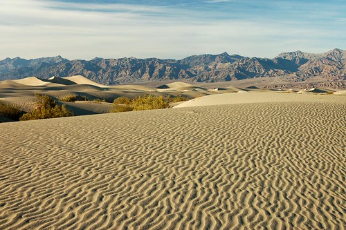 Are formed by the chemical and mechanical action of the wind