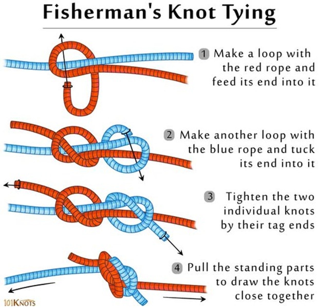 <p>The fishermans knot is used for joining two fine lines such as fishing leaders. It si simply two overhand knots, one holding the right line and other left hand line. Pull each of the two overhand knots seperatly. Then make the whole knot taught so that the two overhand knots come together by pulling on the standing parts of each line.</p>