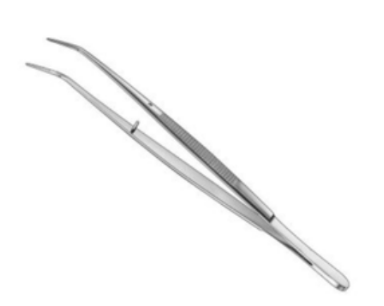 <p>Cotton Forceps</p>