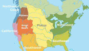 <p>yellow region</p>