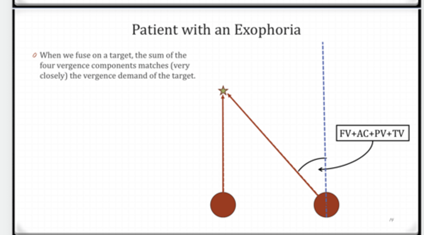 <p>When we fuse a target, the sum of the 4 vergence components (matches/does not match) the vergence demand of an object</p>