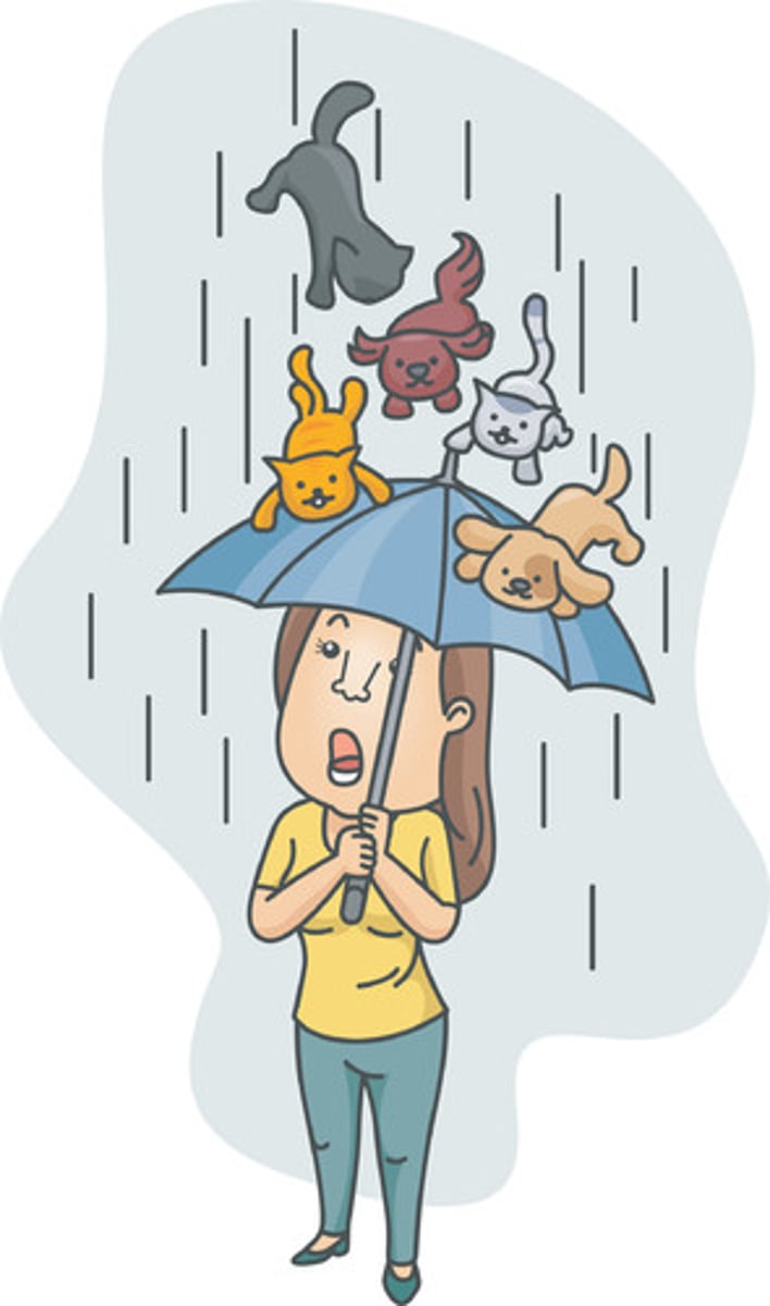 <p>An expression that is characteristic of a language, region, community, or class of people</p>