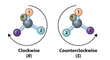 assigned by priority

* decreases in clockwise order, configuration is R (rectus,  right) 
  * Counterclockwise  configuration  is S (sinister,  left) 