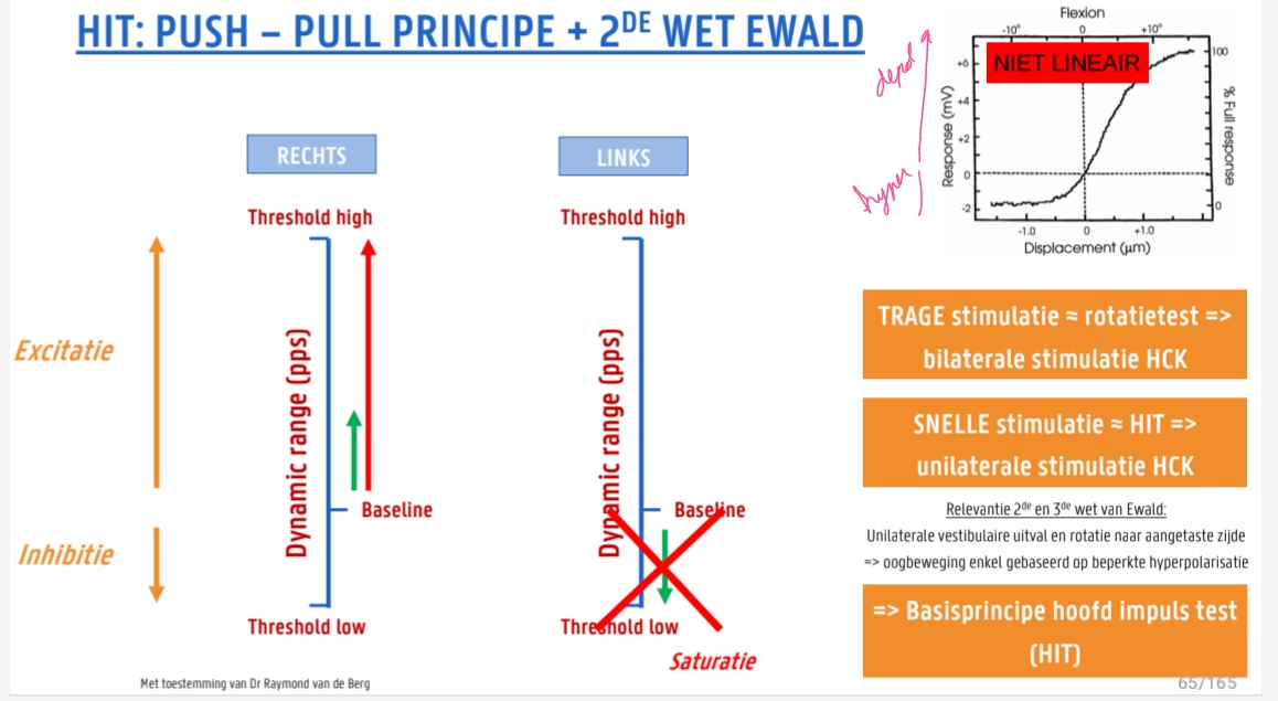 <p><strong>Trage stimulatie</strong><br>→ <strong>Rotatietest</strong> = bilaterale stimulatie HCK</p><p><strong>Snelle stimulatie</strong><br>→ <strong>HIT (Head Impulse Test)</strong> = unilaterale stimulatie HCK</p><p><strong>Relevantie:</strong></p><ul><li><p>2de wet van Ewald = horizontaal</p></li><li><p>3de wet van Ewald = verticaal</p></li></ul><p><strong>Waarom snel bij HIT?</strong></p><ul><li><p>Om 1 kant te testen → depolarisatie sneller dan hyperpolarisatie</p></li><li><p>Om visuele input uit te schakelen → enkel vestibulair</p></li></ul><p><strong>Unilaterale uitval + rotatie naar aangetaste zijde:</strong></p><ul><li><p>Oogbeweging gebaseerd op beperkte hyperpolarisatie van gezonde kant → onvoldoende → correctieve saccade</p></li></ul><p><strong>Basisprincipe HIT:</strong></p><ul><li><p>Bij trage beweging → andere kant vangt op</p></li><li><p>Bij snelle beweging → input van andere kant uitschakelen → test één zijde</p></li></ul><p></p>