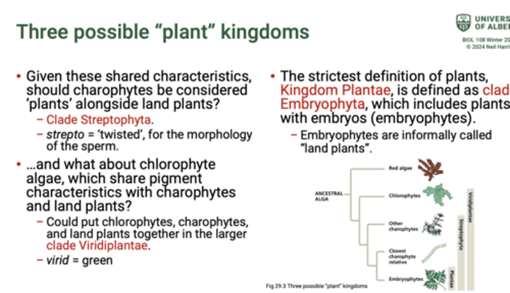 <p>The strictest definition of plants,<br>Kingdom Plantae, is defined as clade<br>Embryophyta, which includes plants with embryos (embryophytes).<br>− Embryophytes are informally called<br>"land plants".</p>
