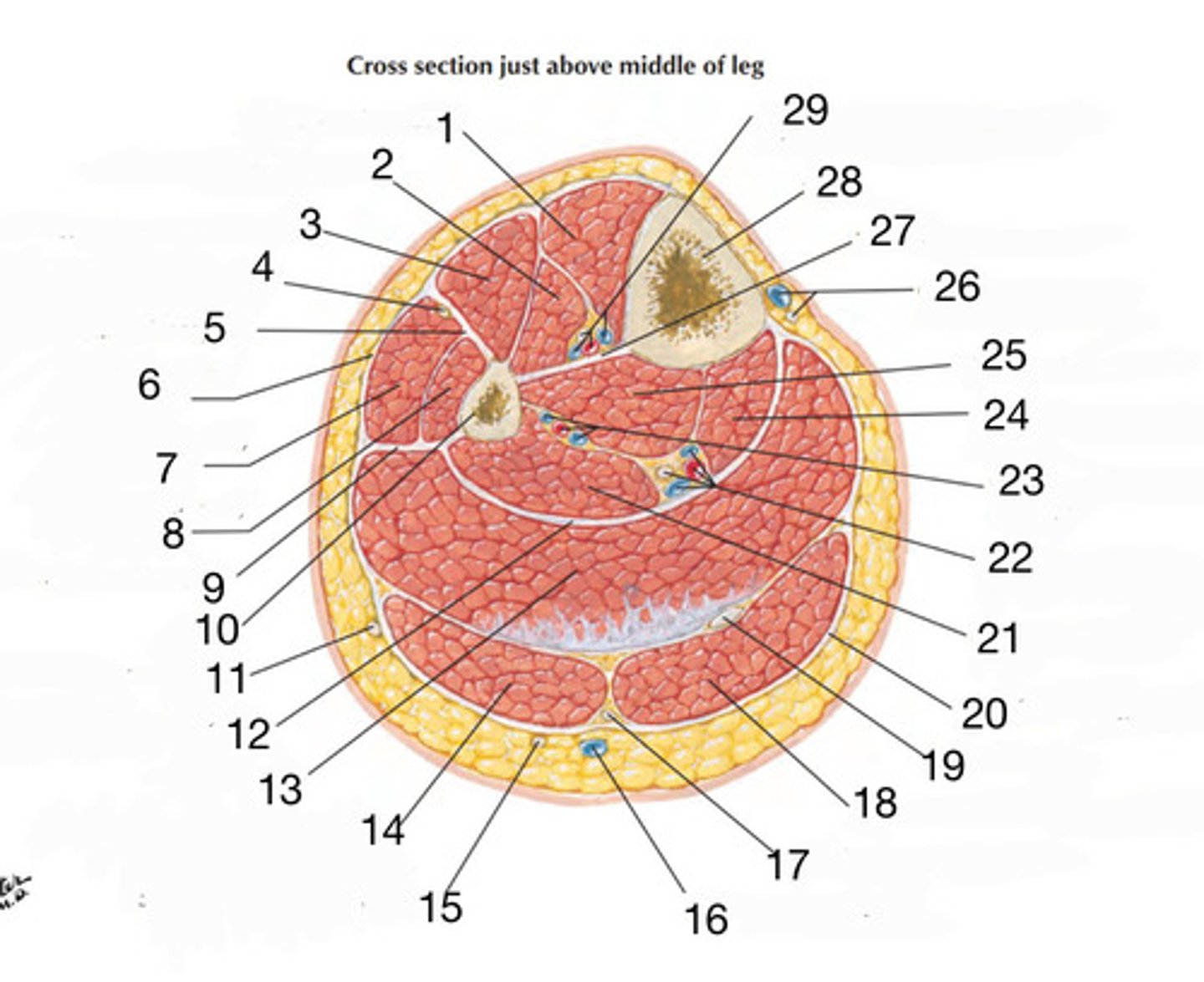 <p>What is number 10</p>