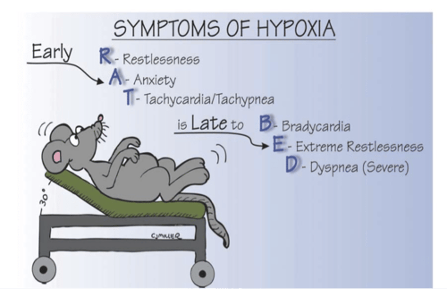 <p>Decreased oxygen in the tissues, Early signs: Restlessness, Irritability and anxiousness. Late signs: Change in LOC, Cyanosis</p>