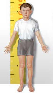 hight/tall