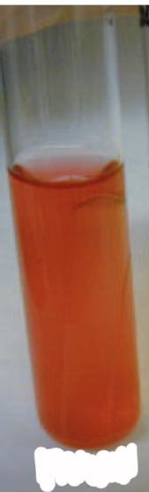 <p>Phenol red broth</p>