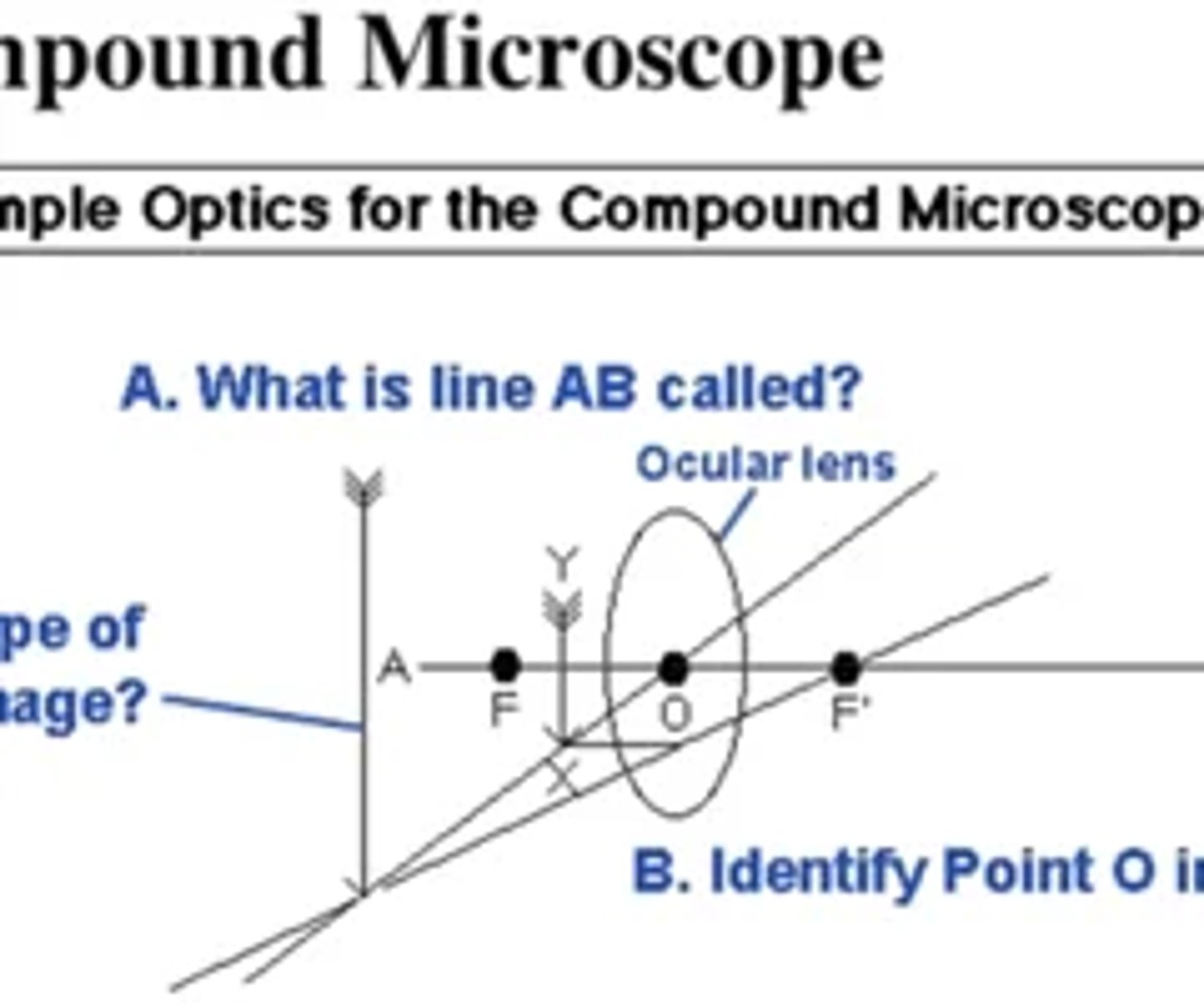 <p>answer only question c in the image below<br>1. real image<br>2. imaginary image<br>3. principle axis<br>4. optical center<br>5. object<br>6. focal point</p>