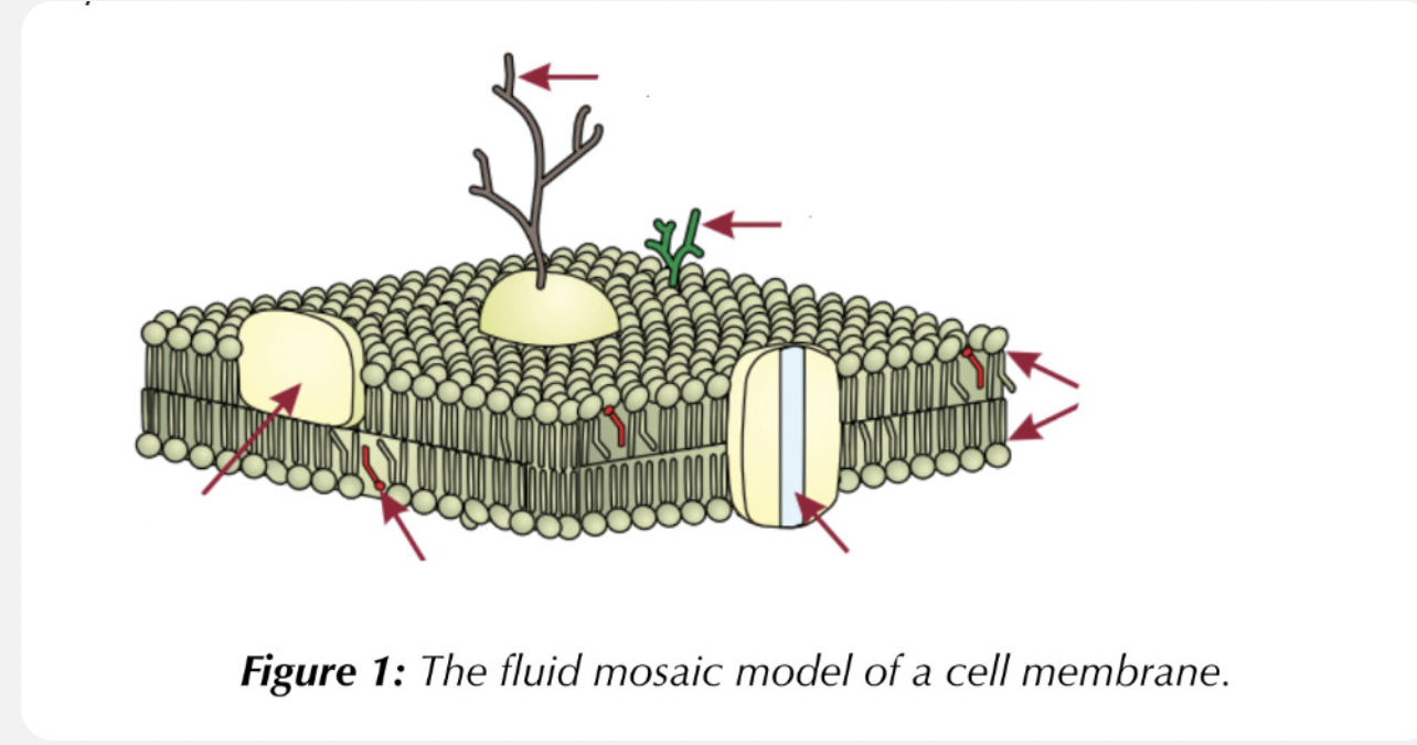 <p>Label the diagram</p>