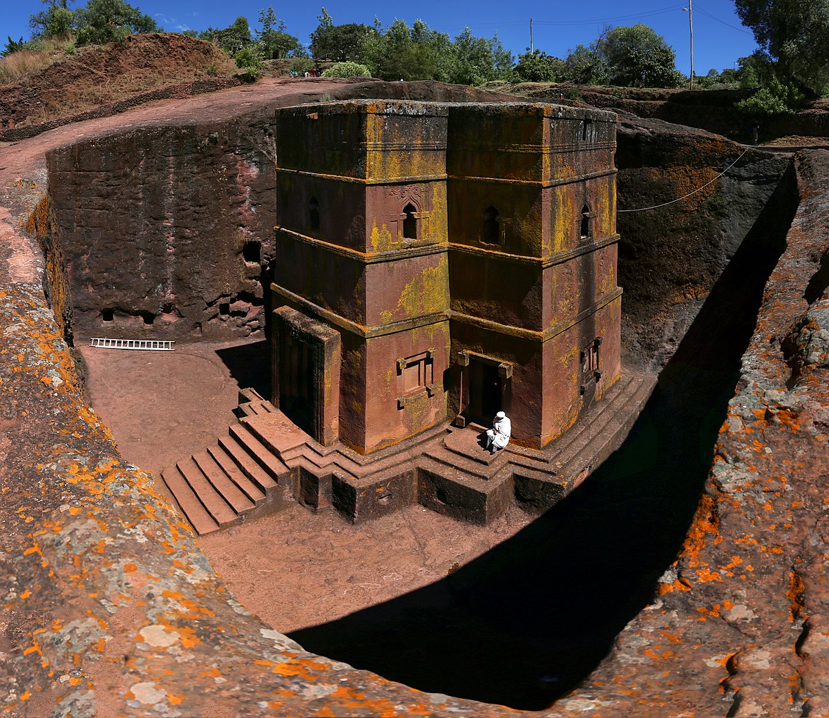 term image