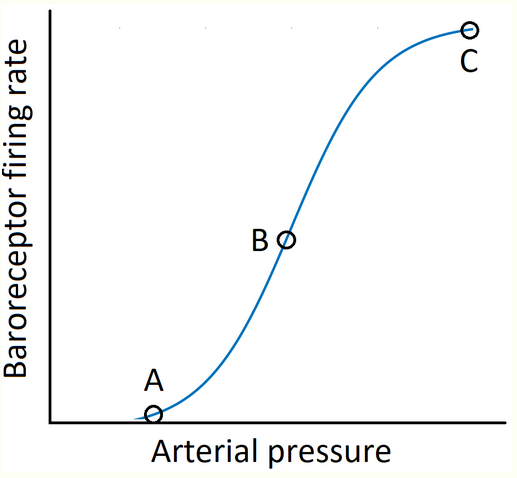 <p>Which is the correct expression for baroreceptor sensitivity? Use Y for firing rate and X for arterial pressure.</p>