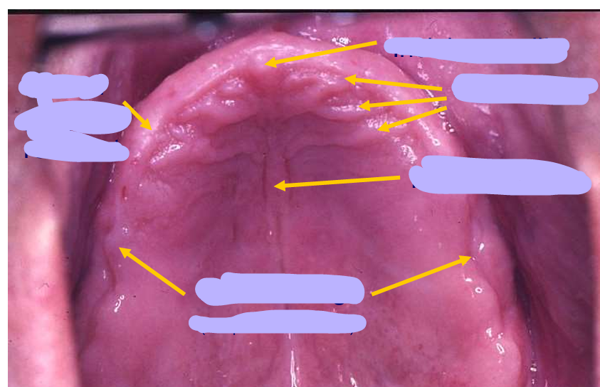 <p>Label these areas </p>