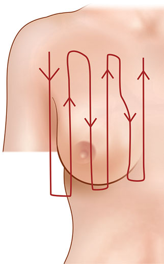 <p>What is the vertical strip palpation pattern?</p>